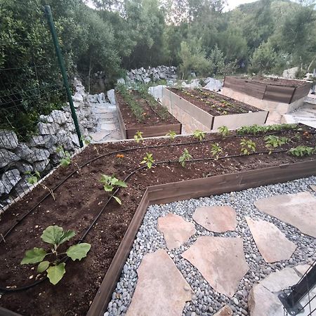 נאום Villa Ilir מראה חיצוני תמונה